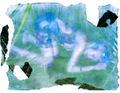 exavia print 8.5 x 11"